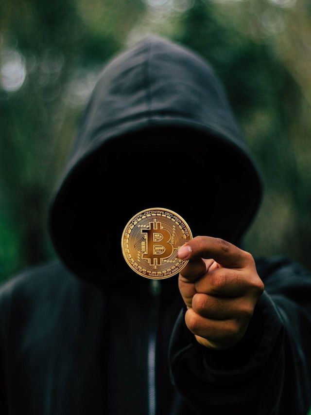 [Updated News] Wifbit Crypto Scam 2024